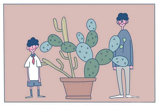 沈阳市民族职业学校招生简章2025年