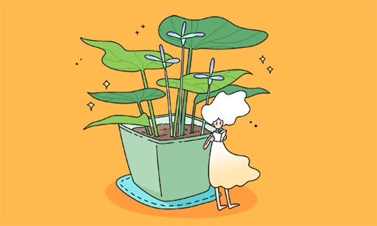 2025年肇庆初三毕业能读的民办中职中专学校（排名+名单）